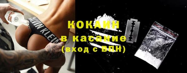 стаф Алзамай