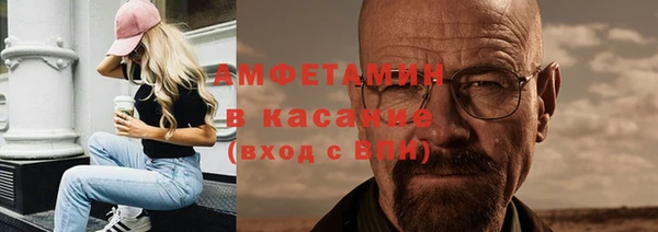 стаф Алзамай