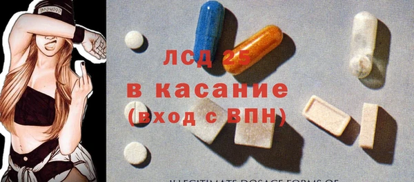 стаф Алзамай