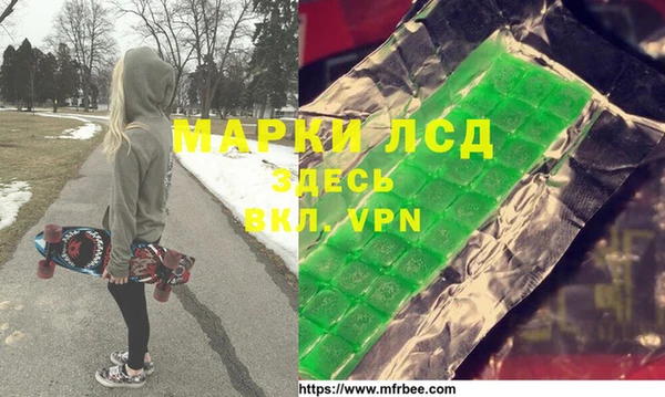 стаф Алзамай