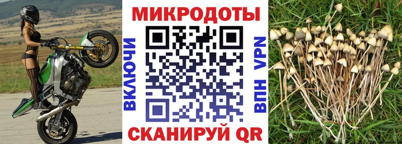Псилоцибиновые грибы MAGIC MUSHROOMS Краснокамск