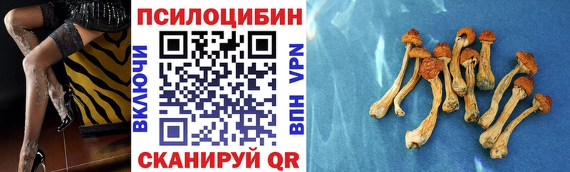 Галлюциногенные грибы MAGIC MUSHROOMS  OMG зеркало  Краснокамск 